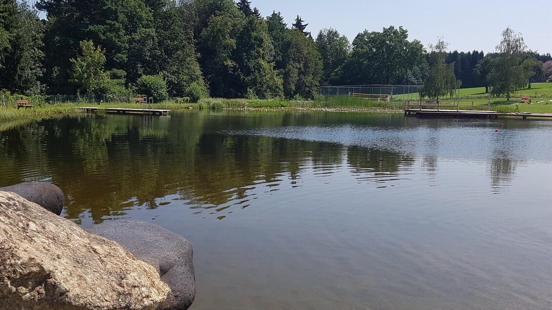 Naturbadeteich_Blick auf Teich_Oststeiermark | © Christine Schwetz