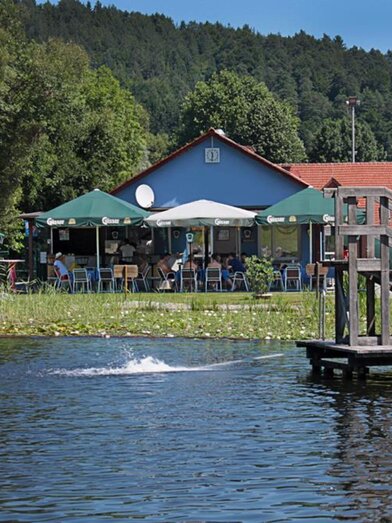 Naturbadeteich Oberhaag | © Naturbadeteich Oberhaag | Naturbadeteich Oberhaag | © Naturbadeteich Oberhaag