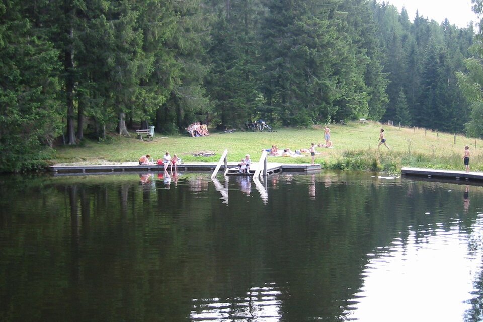 Natural bathing pond Rettenegg - Impression #1 | © Naturbadeteich Rettenegg