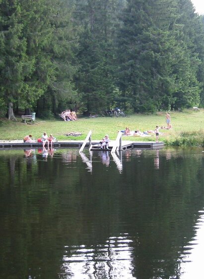 Naturbadeteich Rettenegg_Teich_Oststeiermark | Gemeinde Rettenegg | © Naturbadeteich Rettenegg