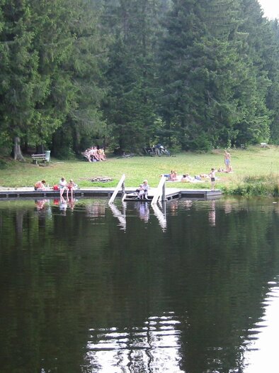 Natural swimming pond Rettenegg_Pond_Eastern Styria | © Naturbadeteich Rettenegg