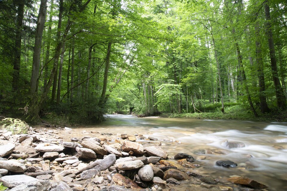 Klause Deutschlandsberg - Natura2000 - Naturjuwel - Impression #1 | © Schilcherland Steiermark