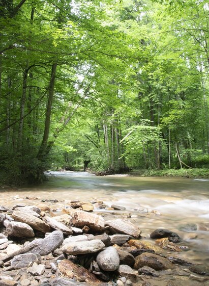 Klause Deutschlandsberg | © Schilcherland Steiermark | Dominik Feibel | © Schilcherland Steiermark