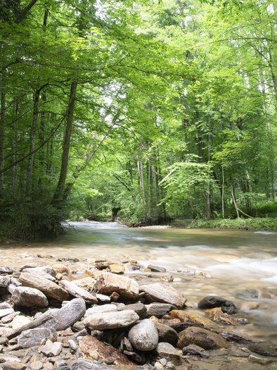 Klause Deutschlandsberg | © Schilcherland Steiermark