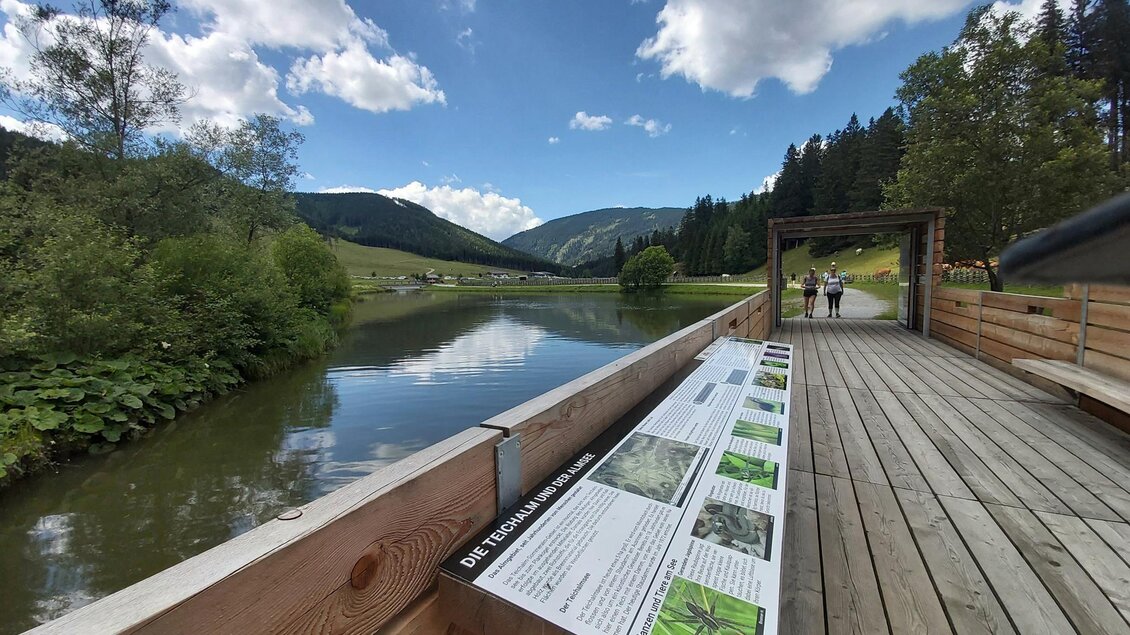 Moorlehrpfad_Schautafeln_Oststeiermark | © Tourismusverband Oststeiermark