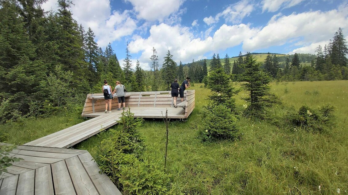 Moorlehrpfad_Bank_Oststeiermark | © Tourismusverband Oststeiermark