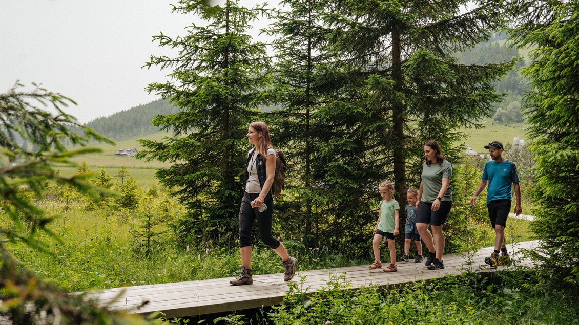 Moor Hiking Path Teichalm - Impressionen #2.7