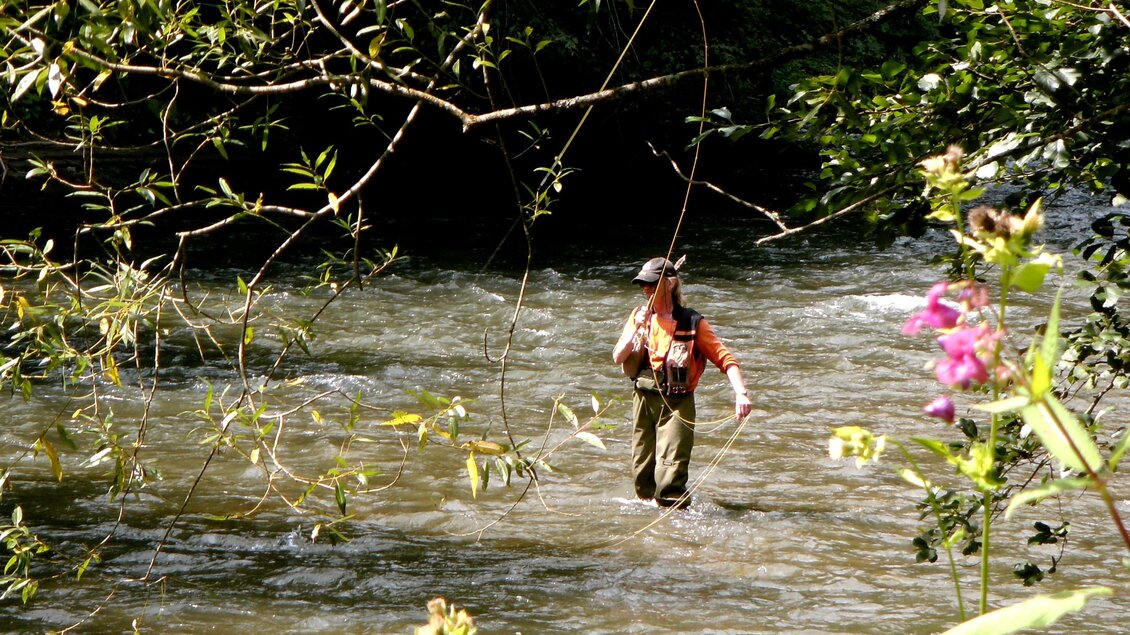 Natura 2000 Feistritzklamm - Herberstein - Impressionen #2.2