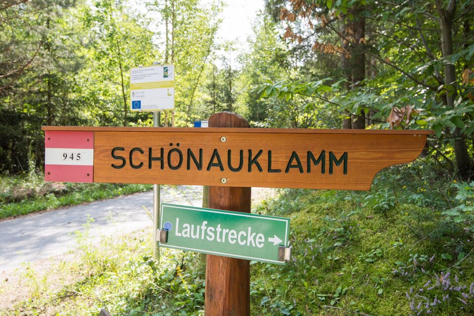 Moor Hiking Path Teichalm - Impression #1 | © Helmut Schweighofer