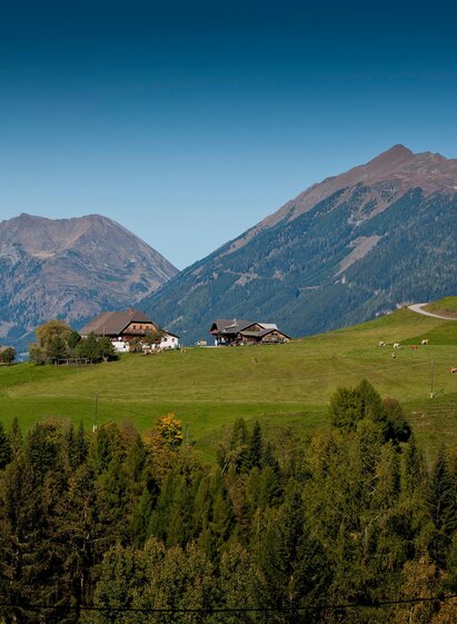 Betrieb | Tom Lamm | © Holzwelt Murau