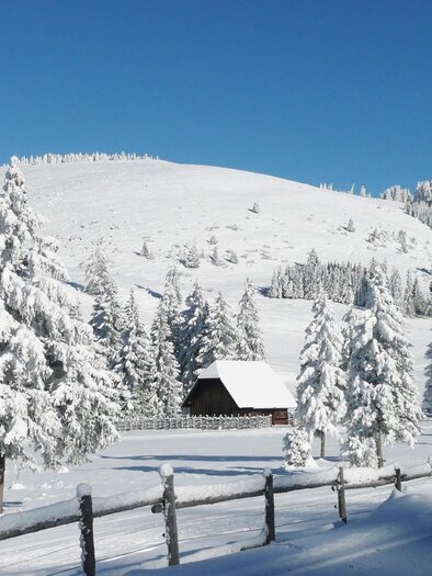 A picturesque winter landscape with snow-covered trees and gentle hills. In the foreground, there is a cozy cabin. | © Tourismusverband Oststeiermark