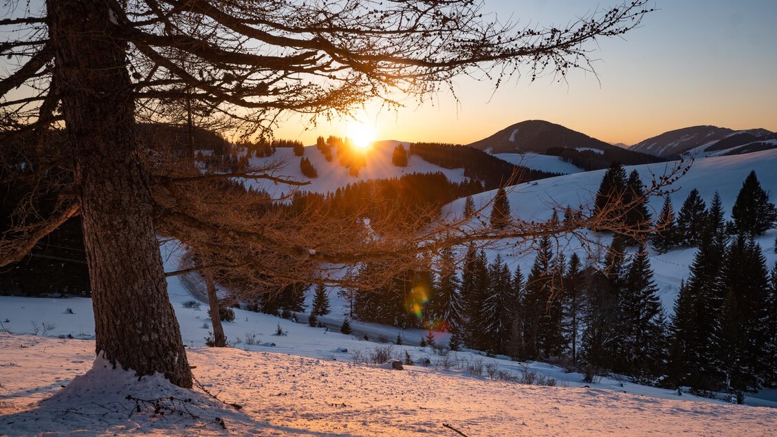 Ein schöner Winterlandschaft mit schneebedeckten Hügeln und einem Baum im Vordergrund. Die Sonne geht hinter den Bergen unter und taucht die Szene in warmes Licht. | © Oststeiermark Tourismus