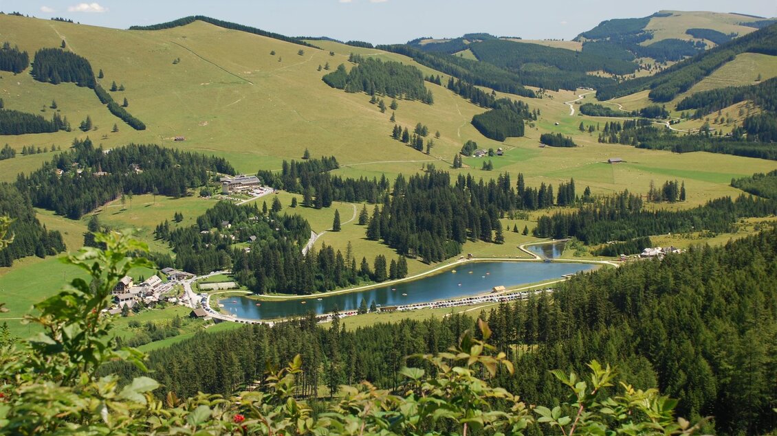 Eine malerische Landschaft mit sanften Hügeln und dichten Wäldern. Im Vordergrund liegt ein schöner See, umgeben von grüner Wiese und kleinen Ortschaften. | © Naturpark Almenland