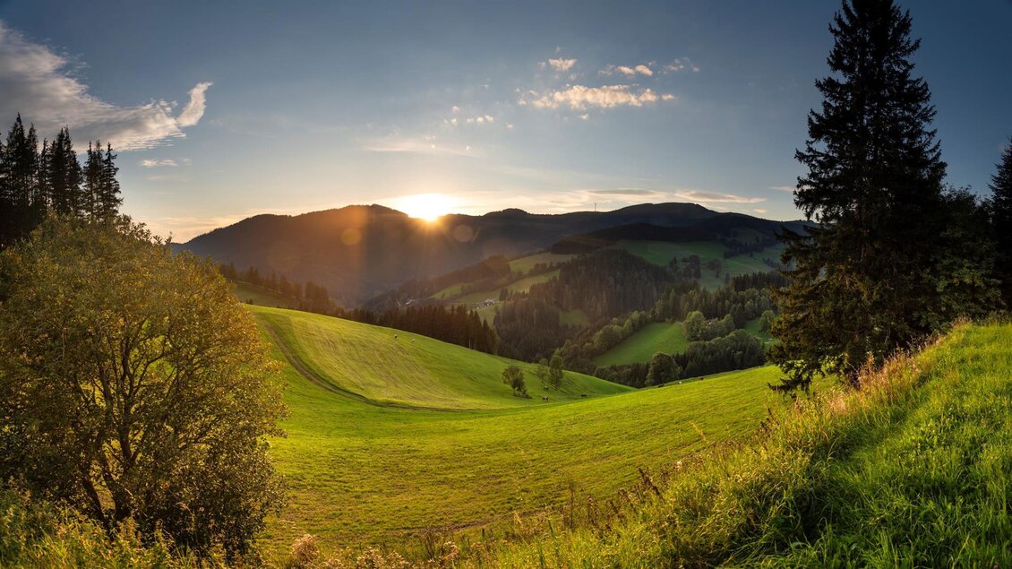 Eine malerische Landschaft mit sanften Hügeln und einer untergehenden Sonne. Bäume umgeben die Wiesen und verleihen der Szene eine ruhige Atmosphäre. | © Naturpark Almenland