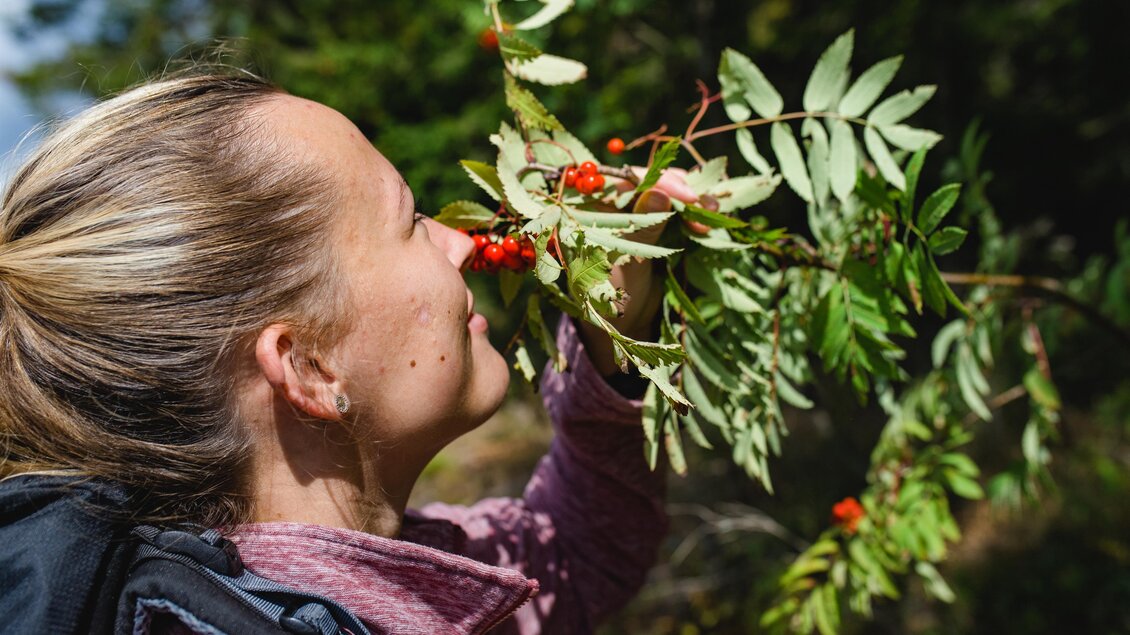 Eine Frau schnuppert an einem Ast mit roten Beeren. Im Hintergrund sind grüne Bäume zu sehen. | © Naturpark Almenland