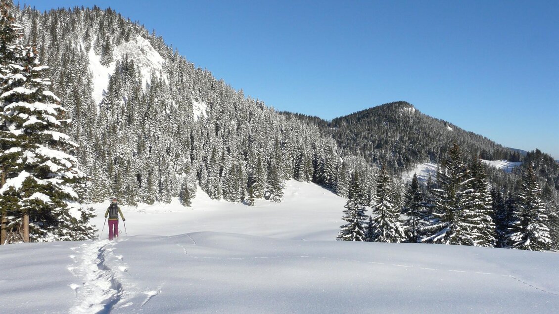 Schneeschuhwandern am Niederalpl | © Naturpark Mürzer Oberland
