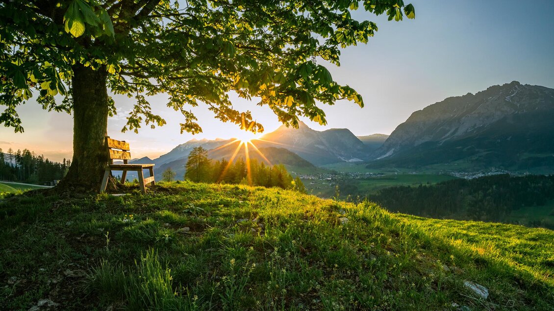 Ein schöner Blick auf eine Berglandschaft bei Sonnenuntergang. Ein Baum steht über einer Wiese mit einer Bank im Vordergrund. | © Thomas Hofer