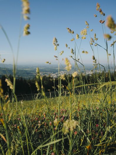 Jürgen Rausch-Schott | © Lupi Spuma