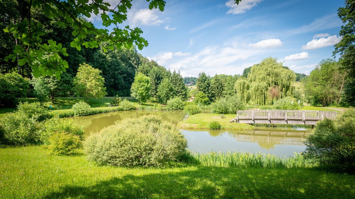Ein ruhiger Park mit einem Teich und üppigem Grün. Im Hintergrund sind Bäume und eine Holzplattform zu sehen. | © Gemeinde Unterlamm