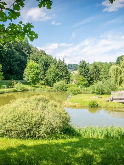Ein ruhiger Park mit einem Teich und üppigem Grün. Im Hintergrund sind Bäume und eine Holzplattform zu sehen. | © Gemeinde Unterlamm