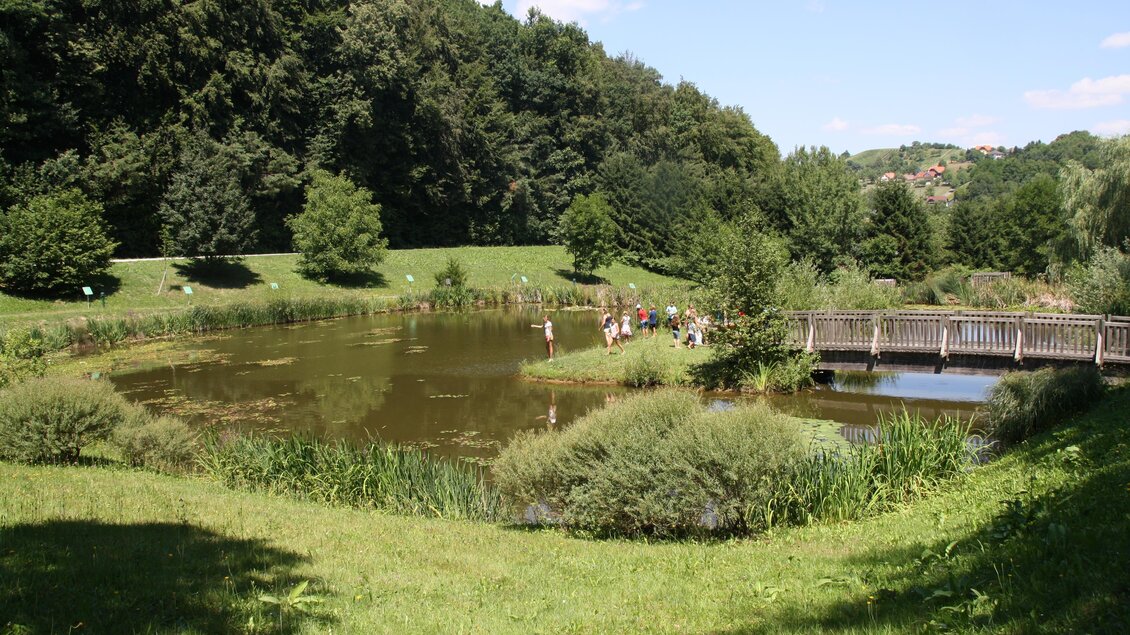 Ein ruhiger Teich umgeben von Grünflächen und Bäumen. Im Hintergrund sind Menschen zu sehen, die die Natur genießen. | © Gemeinde Unterlamm