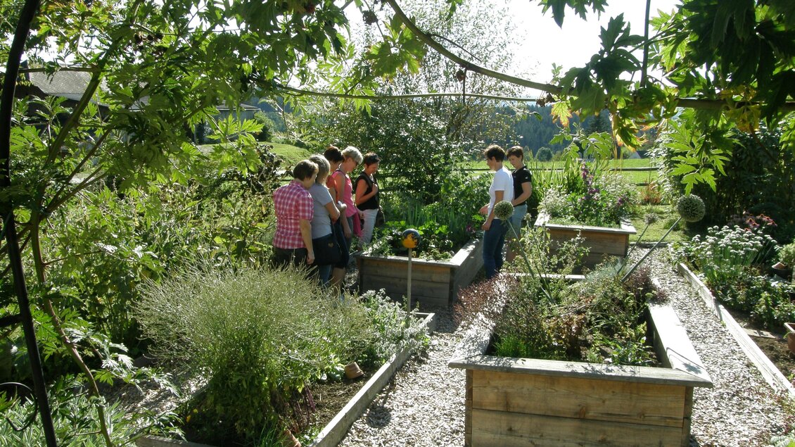 Nickls Aronia_Führung_Oststeiermark | © Nickl's Aronia
