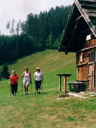 Nordic Walking Pierergut