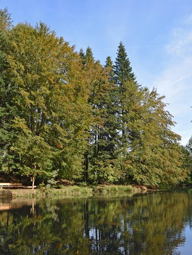 Nymphenweiher in Niedergams | © Stadtgemeinde Deutschlandsberg