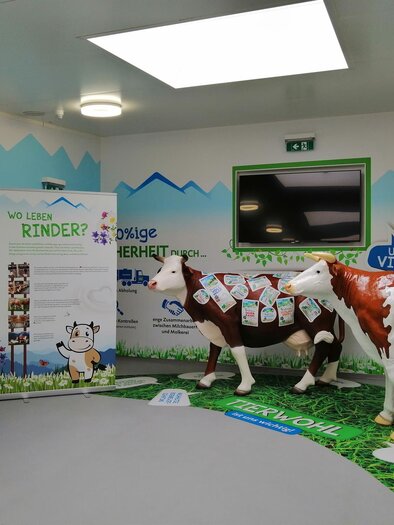 A room with an agricultural theme, in which two cow figures stand. There are advertising materials for dairy products and information about cattle. | © Obersteirische Molkerei
