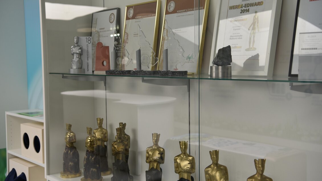 Eine Vitrine mit verschiedenen Auszeichnungen und Skulpturen. Darunter sind goldene und schwarze Figuren sowie einige Urkunden aufgestellt. | © Selina Senft