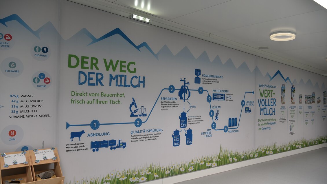 Ein informatives Wandbild, das den Weg der Milch vom Bauernhof bis auf den Tisch zeigt. Es enthält Diagramme und Texte zu den verschiedenen Prozessen der Milchproduktion. | © Selina Senft