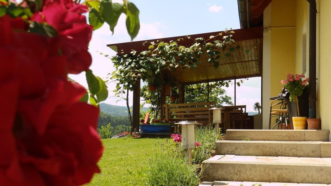 Obst- und Weinbauernhof Bernhard Terrasse | © Familie Bernhard | Weinbauernhof Bernhard