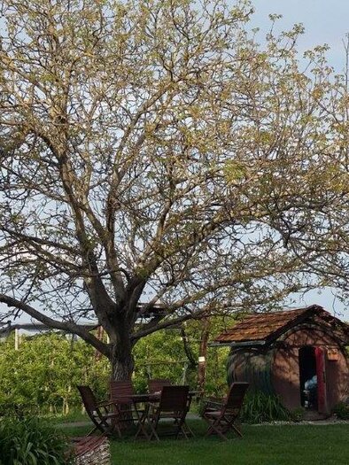 Obstgut Ledinegg | © Obstgut Ledinegg