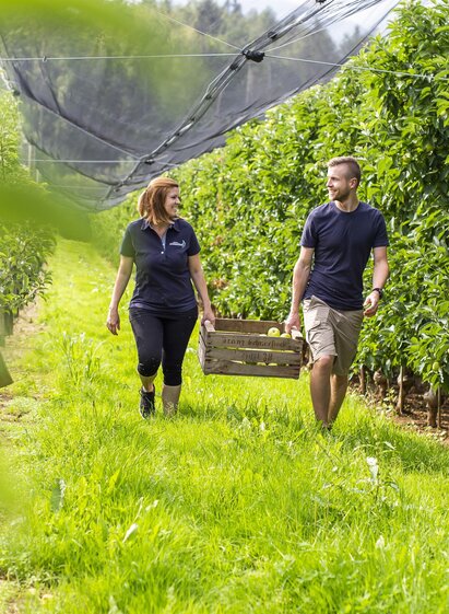 Fruit farm Schneeflock_In the orchard_Eastern Styria | © Obsthof Schneeflock