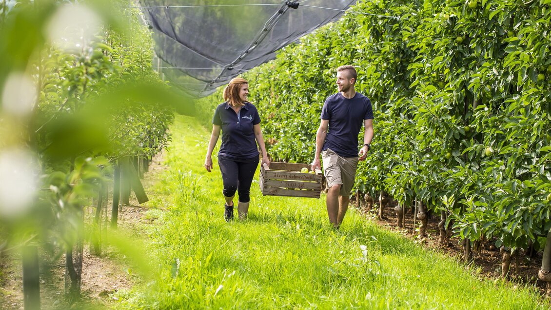 Obsthof Schneeflock_Im Obstgarten_Oststeiermark | © Obsthof Schneeflock
