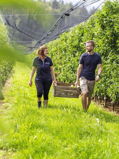 Fruit farm Schneeflock_In the orchard_Eastern Styria | © Obsthof Schneeflock