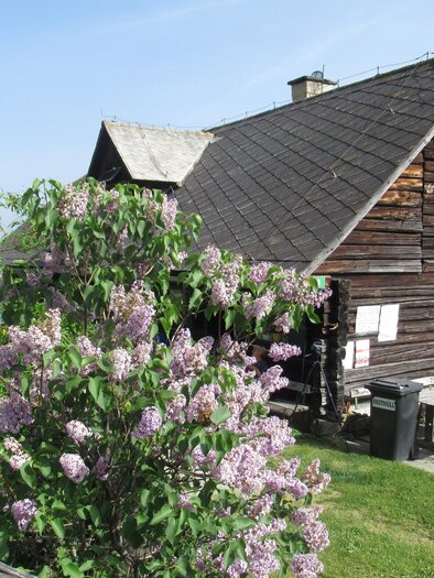 Ochsenstall | © TV ERZBERG LEOBEN