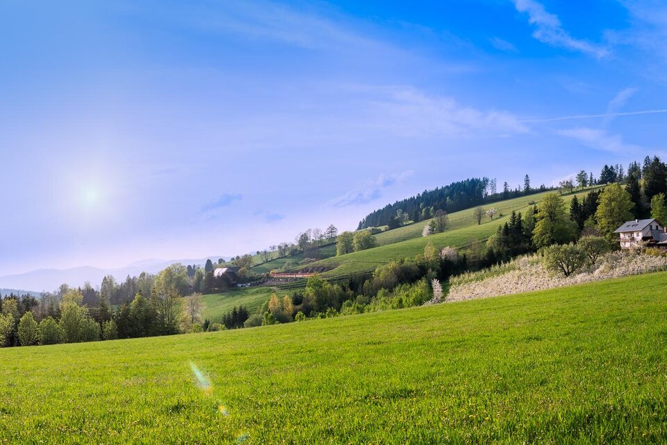 Panoramic Camping Graf - Impression #1 | © Oststeiermark Tourismus