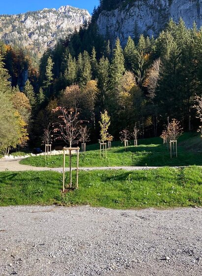 Parkplatz Ebner | Nationalpark Gesäuse