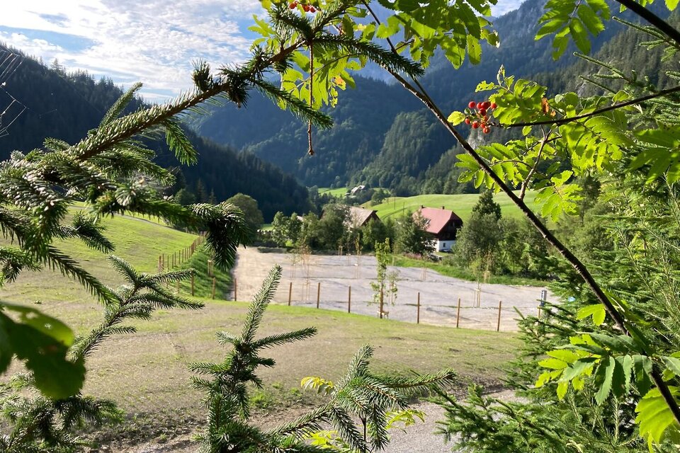 Parkplatz Gscheidegger - Impression #1