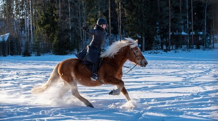 Pferdefreunde Zloam - Reitzentrum Ausseerland (10) | © Pferdefreunde Zloam - www.pferdefreunde-zloam.at | Pferdefreunde Zloam - www.pferdefreunde-zloam.at | © Pferdefreunde Zloam - www.pferdefreunde-zloam.at