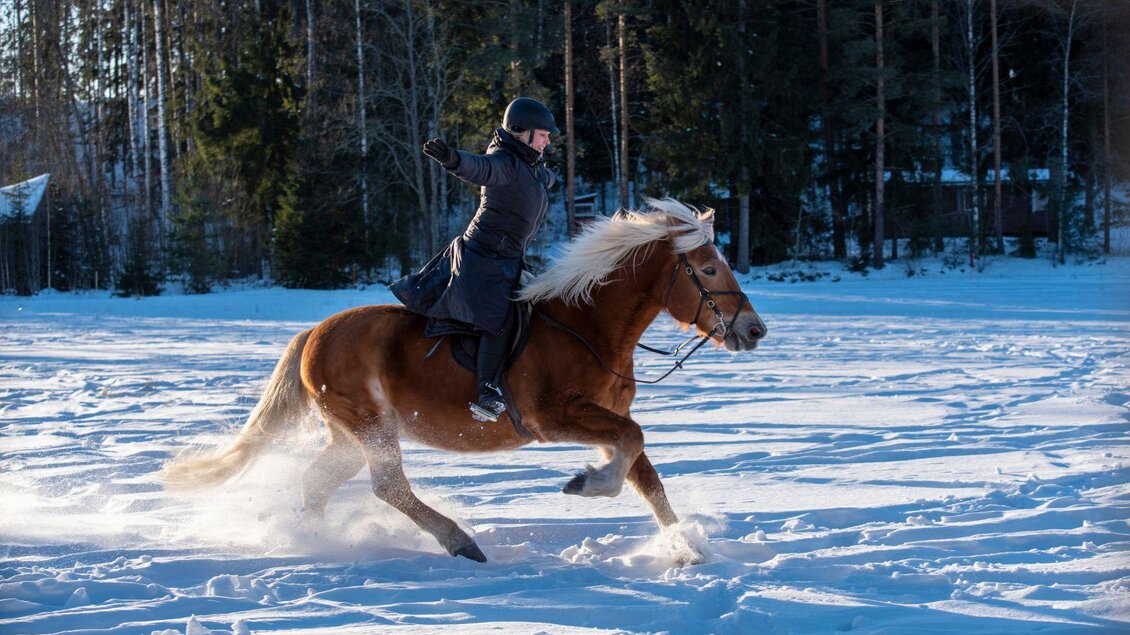 Ein Reiter auf einem braunen Pferd galoppiert durch den Schnee. Im Hintergrund sind winterliche Bäume zu sehen. | © Pferdefreunde Zloam - www.pferdefreunde-zloam.at