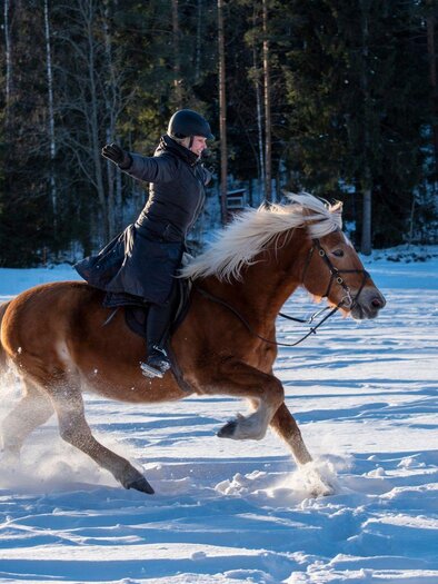 Ein Reiter auf einem braunen Pferd galoppiert durch den Schnee. Im Hintergrund sind winterliche Bäume zu sehen. | © Pferdefreunde Zloam - www.pferdefreunde-zloam.at