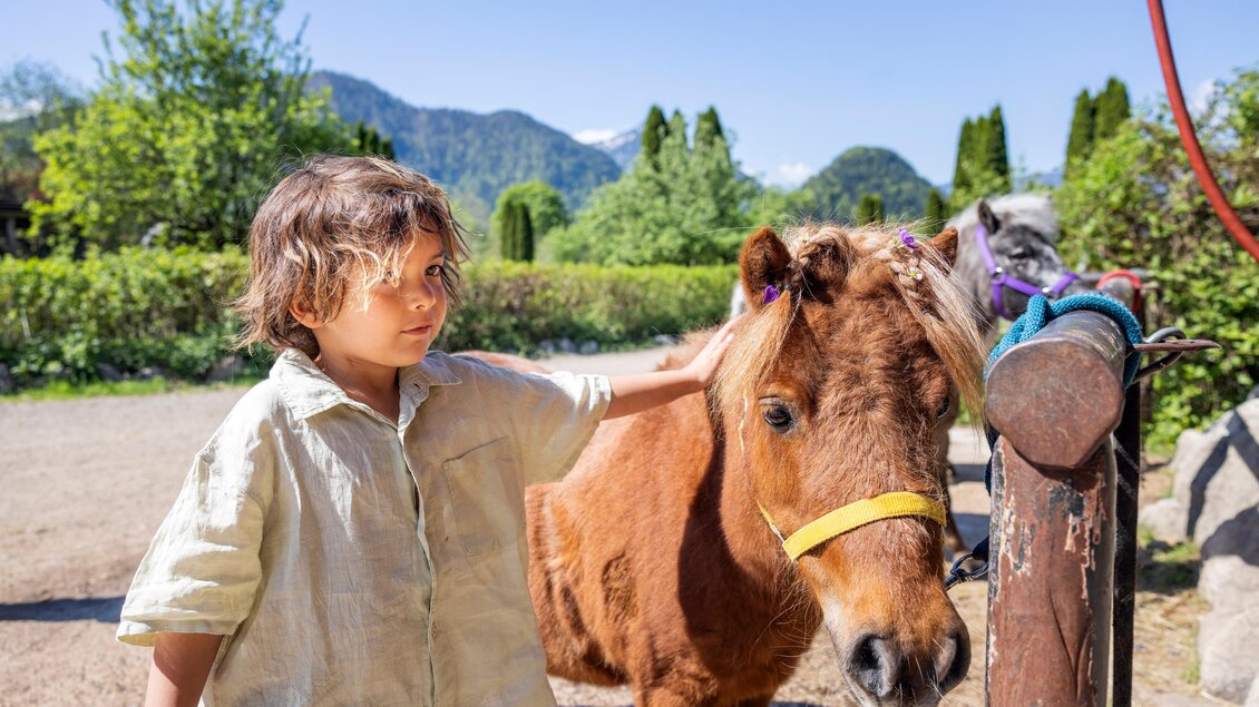 Ein Junge steht neben einem kleinen braunen Pony. Es ist ein sonniger Tag mit grünem Hintergrund.