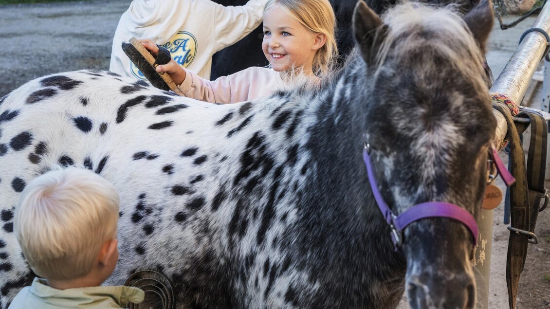 Ponyabenteuer und Reiten im Narzissendorf Zloam  ( | © www.zloam.at