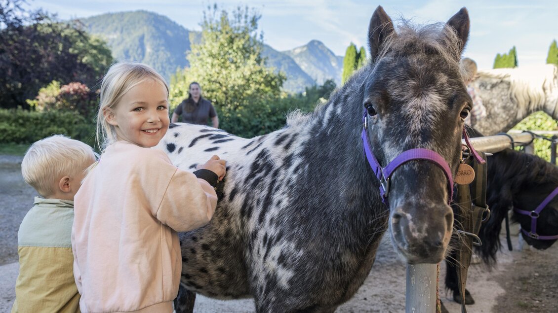 Ponyabenteuer und Reiten im Narzissendorf Zloam (4 | © www.zloam.at