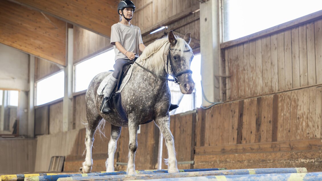 Reitabenteuer Reithalle Narzissendorf Zloam (2) | © www.zloam.at