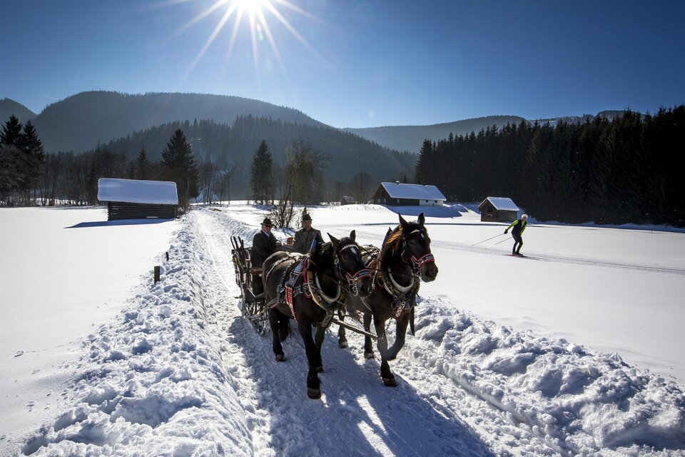 Horse farm Dachsteinblick - Impression #1 | © TVB Ausseerland Salzkammergut/Tom Lamm