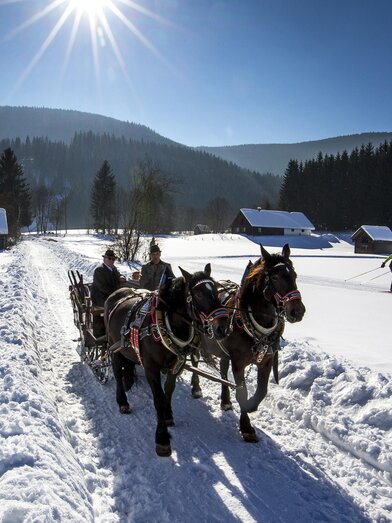 Pferdeschlitten im Ausseerland | TVB Ausseerland Salzkammergut/Tom Lamm | © TVB Ausseerland Salzkammergut/Tom Lamm