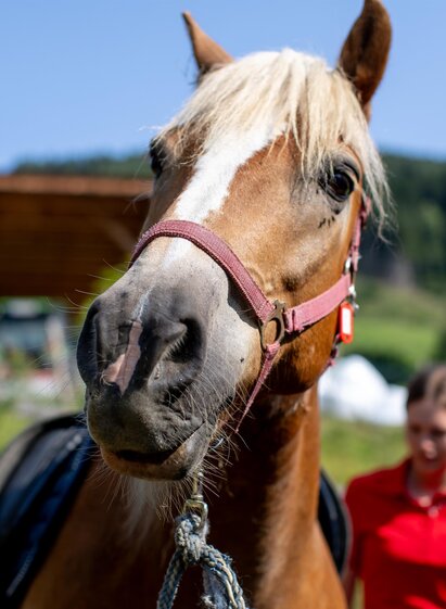 Reiten | Tom Lamm | © Tourismusverband Murau